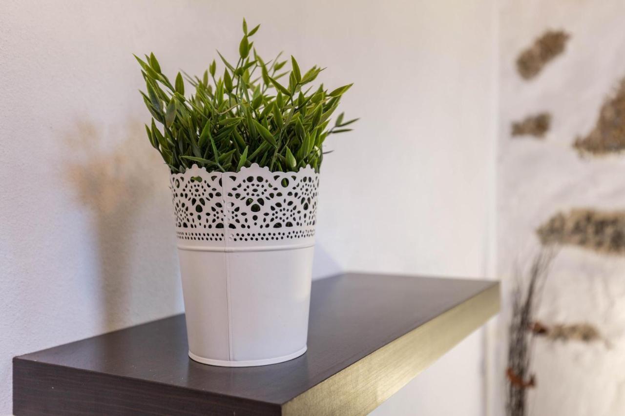 Eden Ecologico En Casa La Fuentita Apartment El Charco  ภายนอก รูปภาพ
